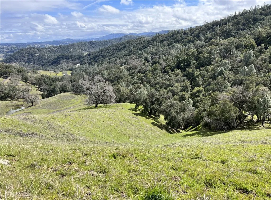 0 Running Deer Road Paso Robles, CA 93446 - Photo 25 of 29 Gallery Image 25