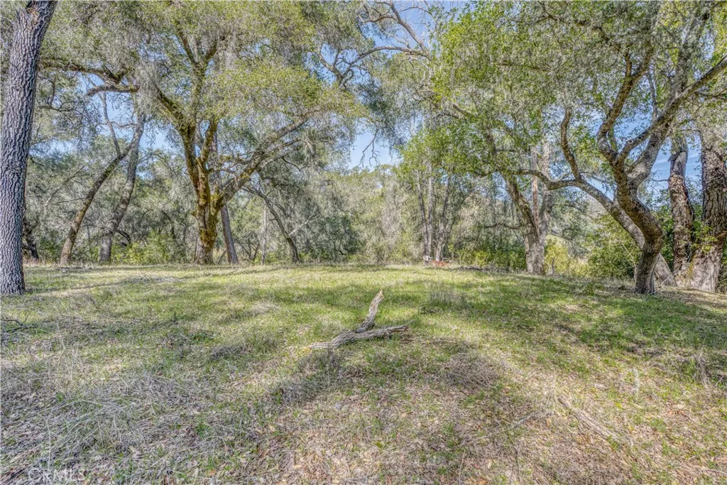 0 Running Deer Road Paso Robles, CA 93446 - Photo 7 of 29 Gallery Image 7