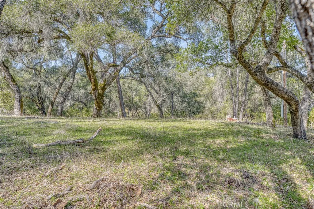 0 Running Deer Road Paso Robles, CA 93446 - Photo 8 of 29 Gallery Image 8
