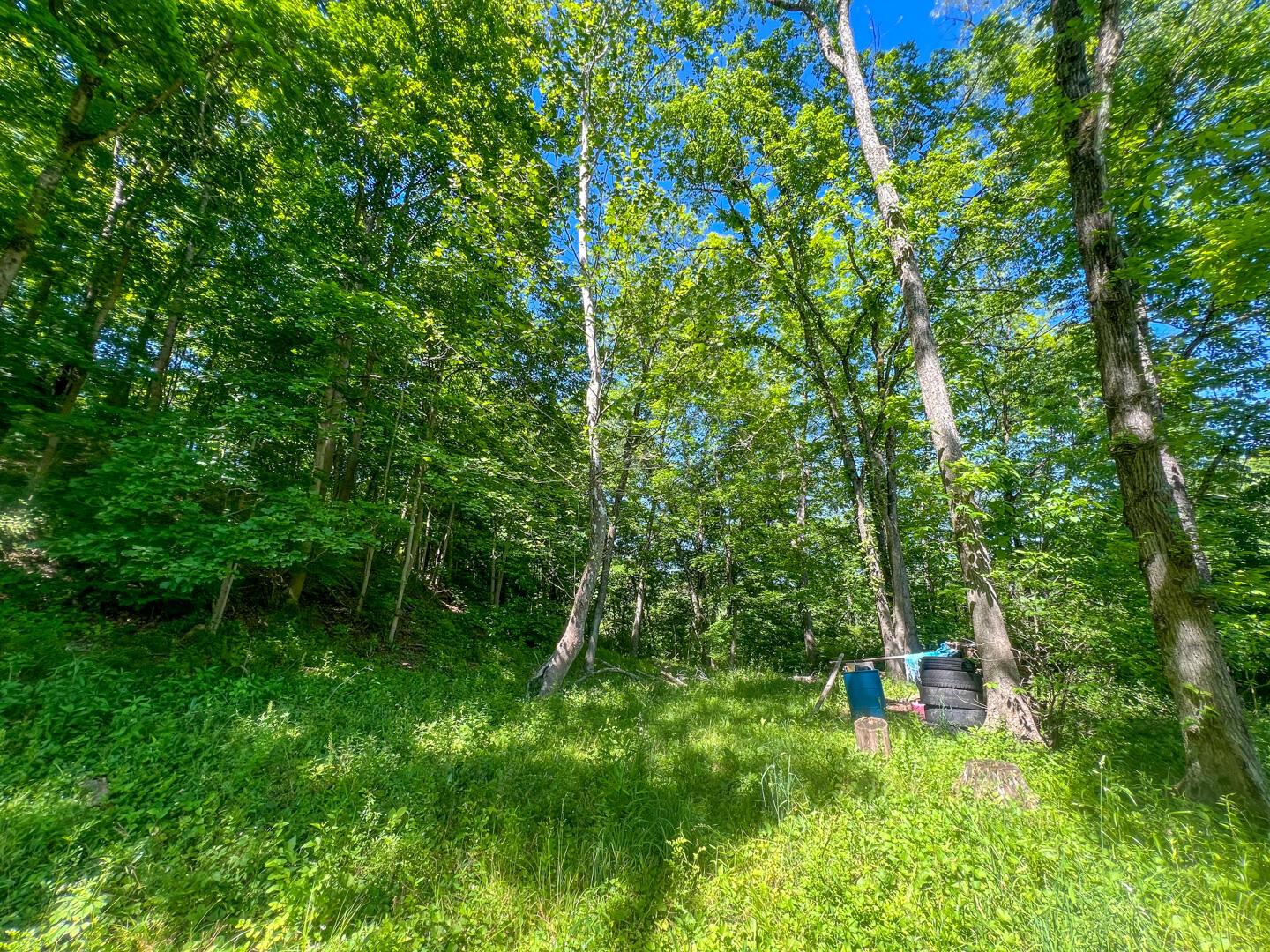 0 Rush Run Road Rayland, OH 43943 - Photo 2 of 24