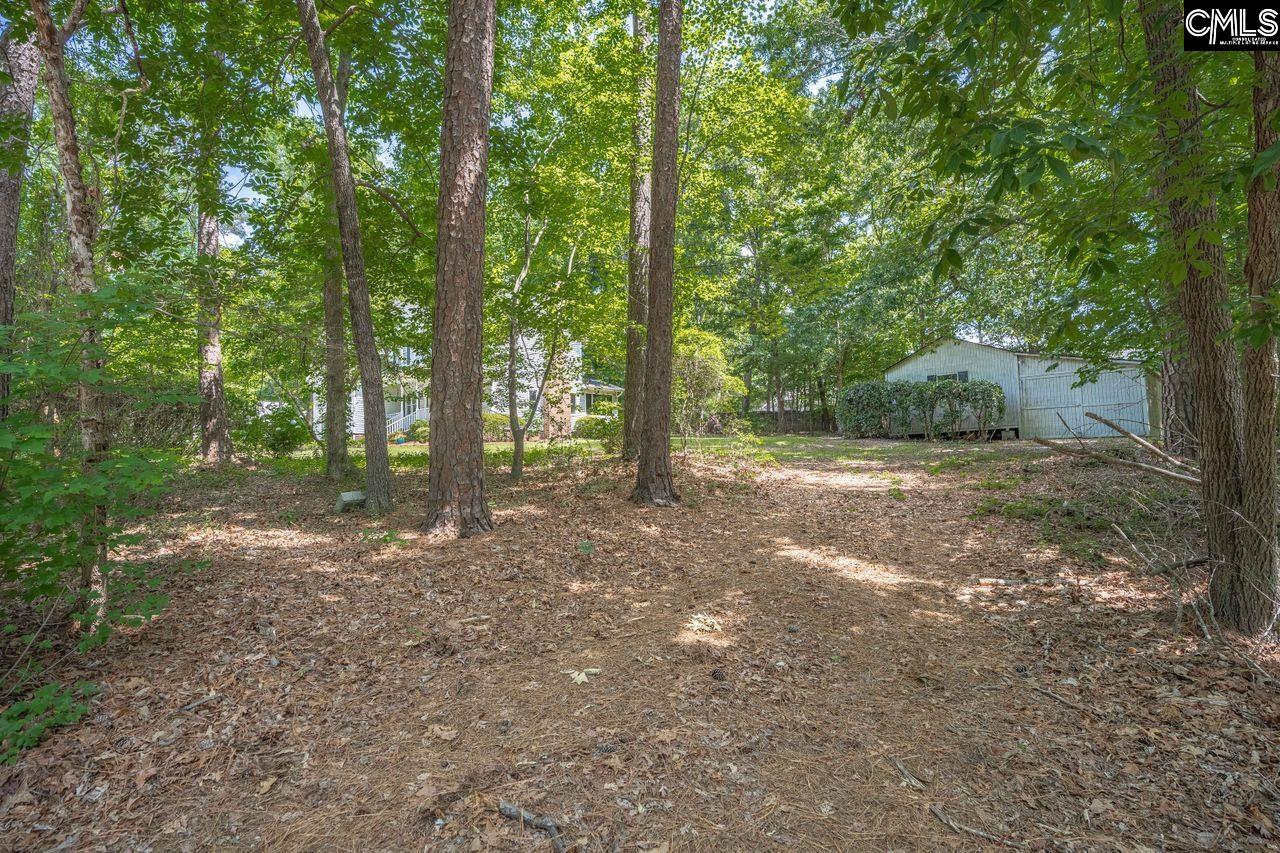221 Baron Road Lexington, SC 29072 - Photo 42 of 45