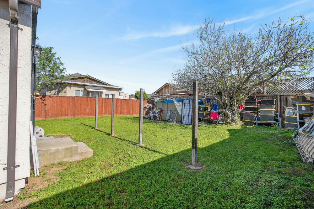 33554 7th Street Union City, CA 94587 - Photo 26 of 38 a view of a house with backyard and a tree
