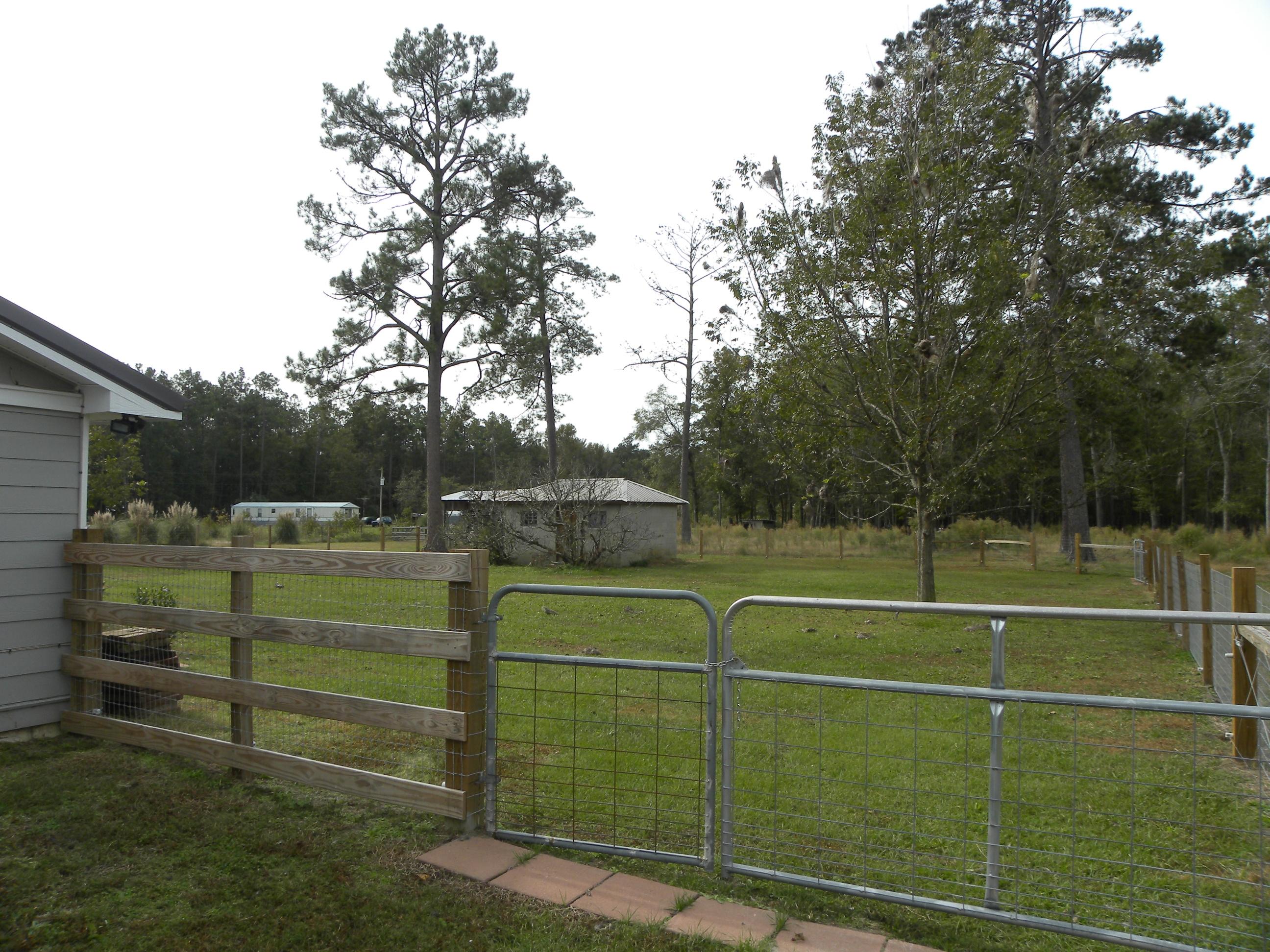 1395 Risher Mountain Road Walterboro, SC 29488 - Photo 13 of 16 Back yard