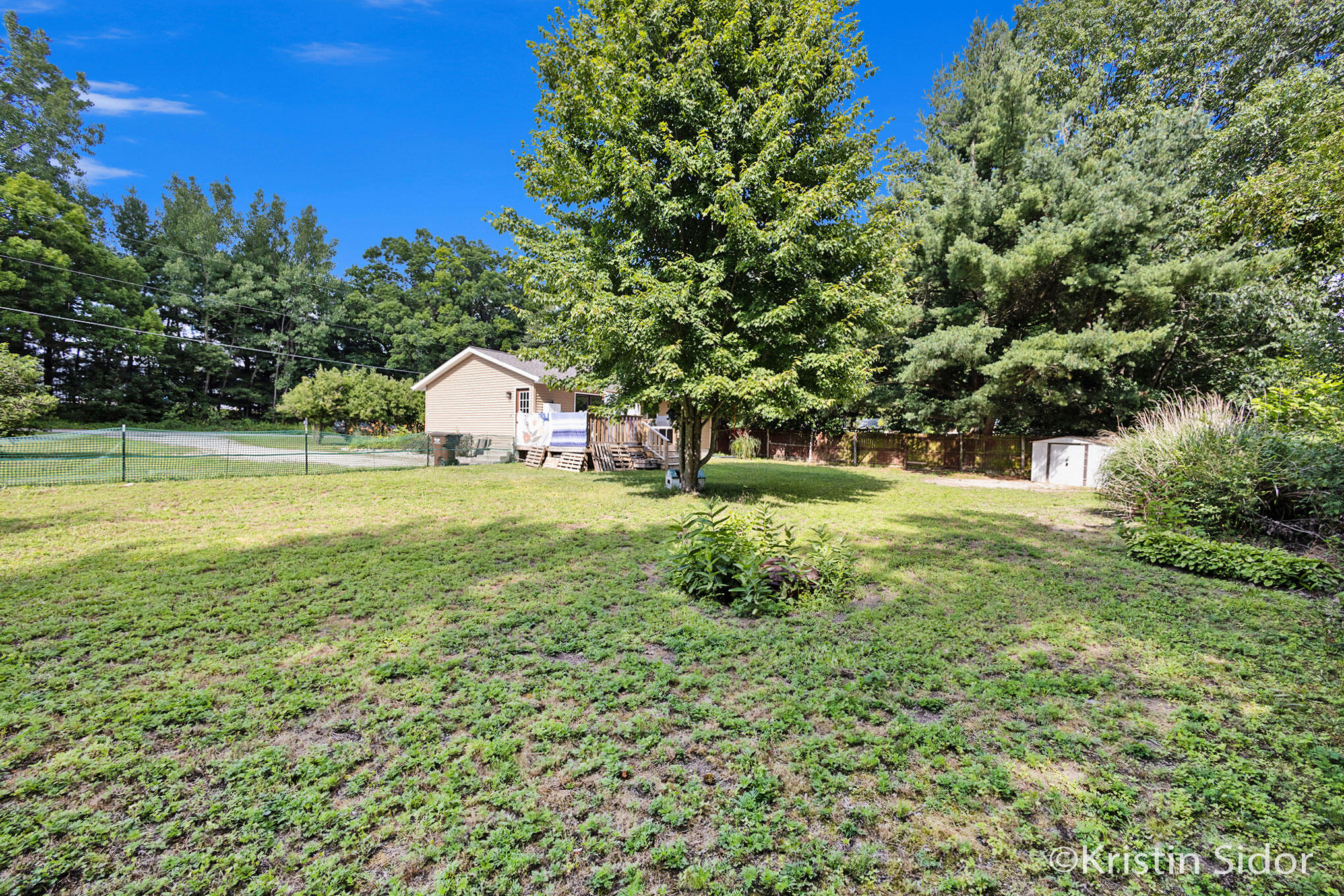 615 Merrick Street Belding, MI 48809 - Photo 5 of 19 690A9250