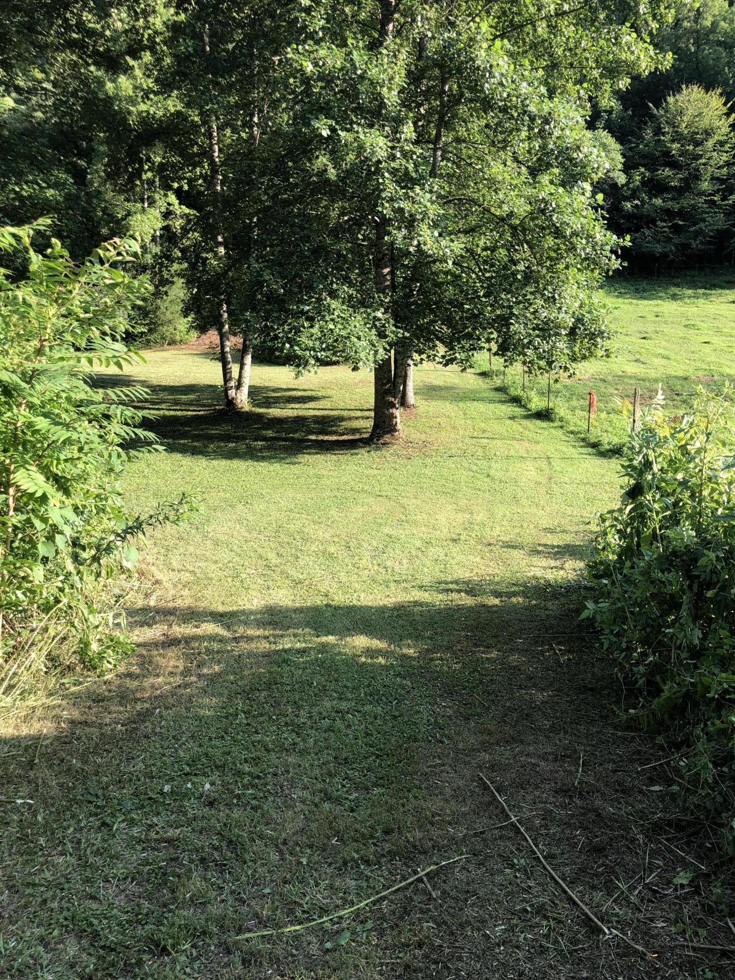 Lot 14 Young Road La Follette, TN 37766 - Photo 11 of 12 11