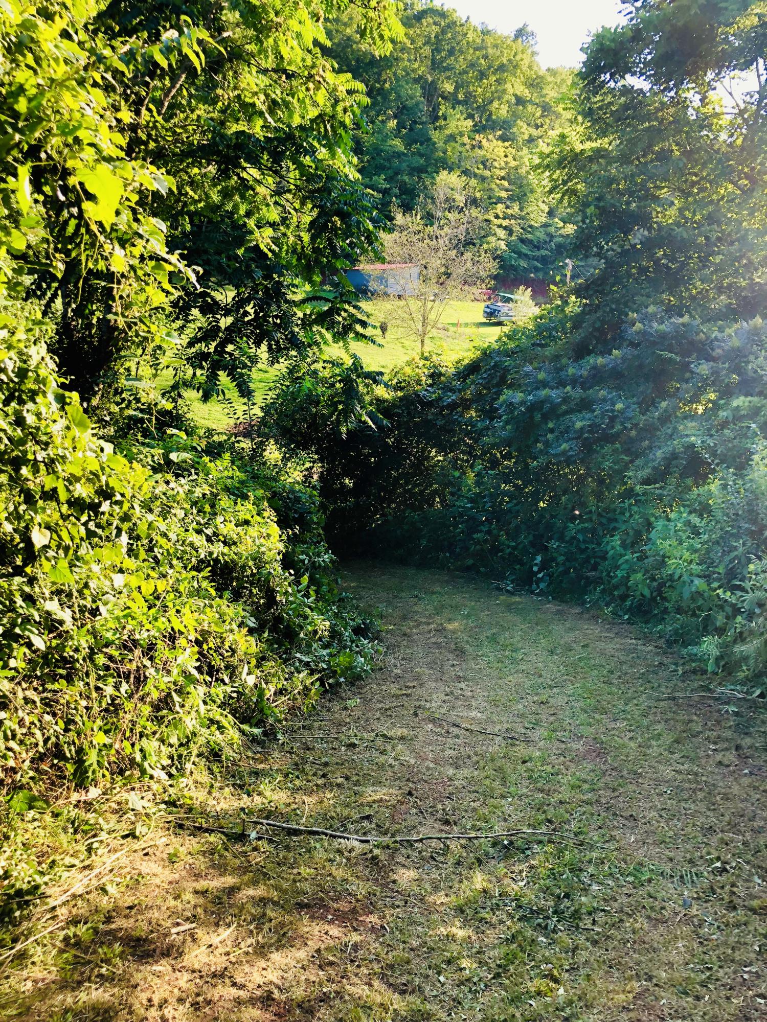 Lot 14 Young Road La Follette, TN 37766 - Photo 8 of 12 8