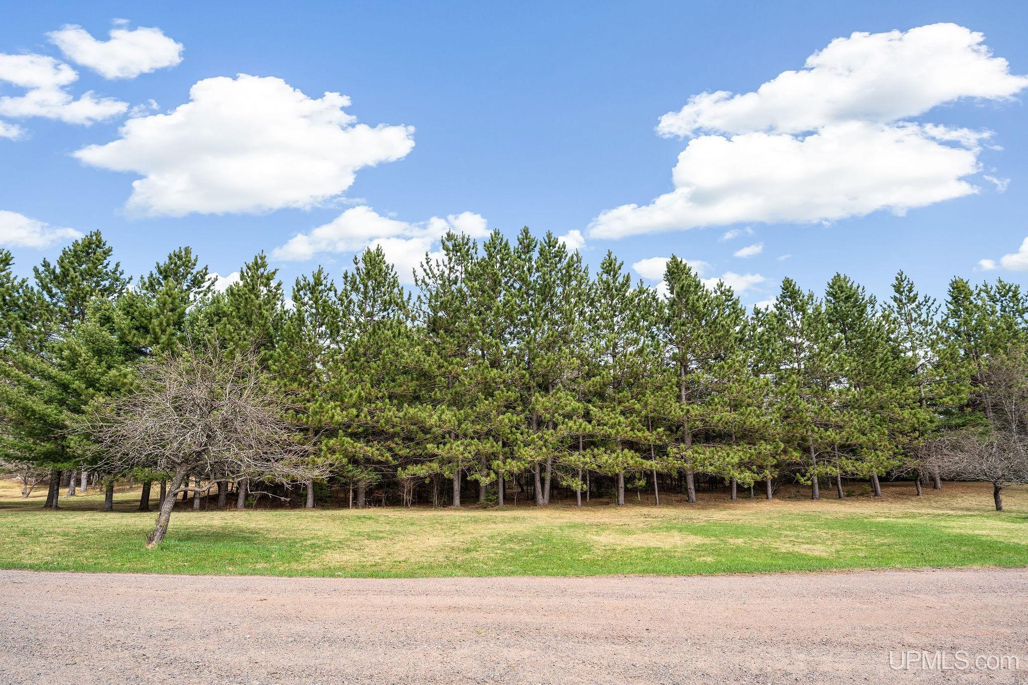 1 County Road CD Ishpeming, MI 49849 - Photo 49 of 52