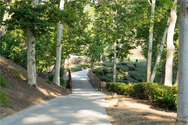 a view of a street with potted plants and large trees