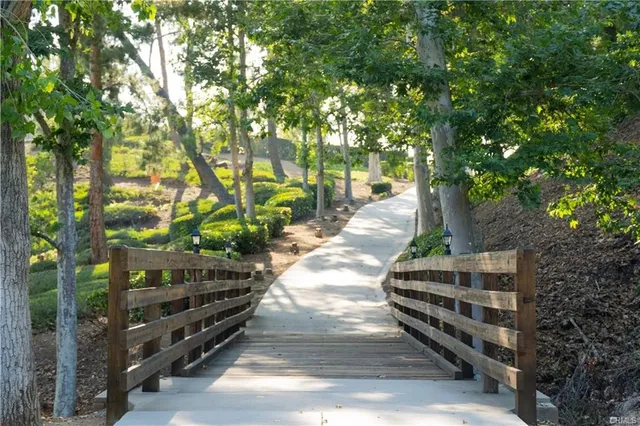 a view of outdoor space yard and tree