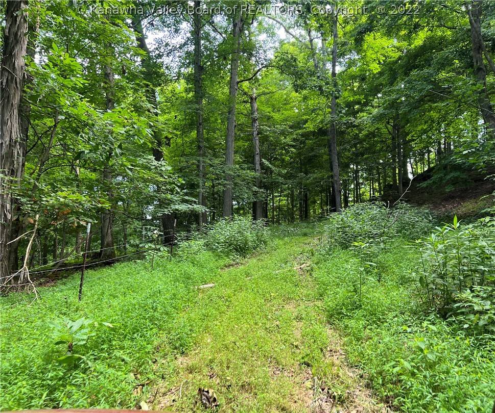 0 Charleston Road Point Pleasant, WV 25550 - Photo 36 of 45 ATV / Hiking Trail….