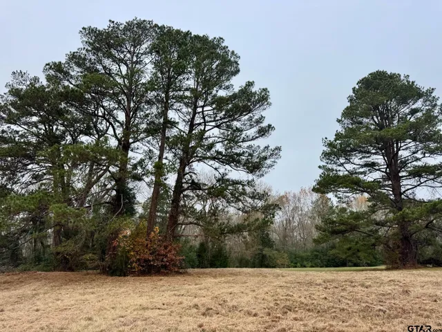 a view of outdoor space with yard