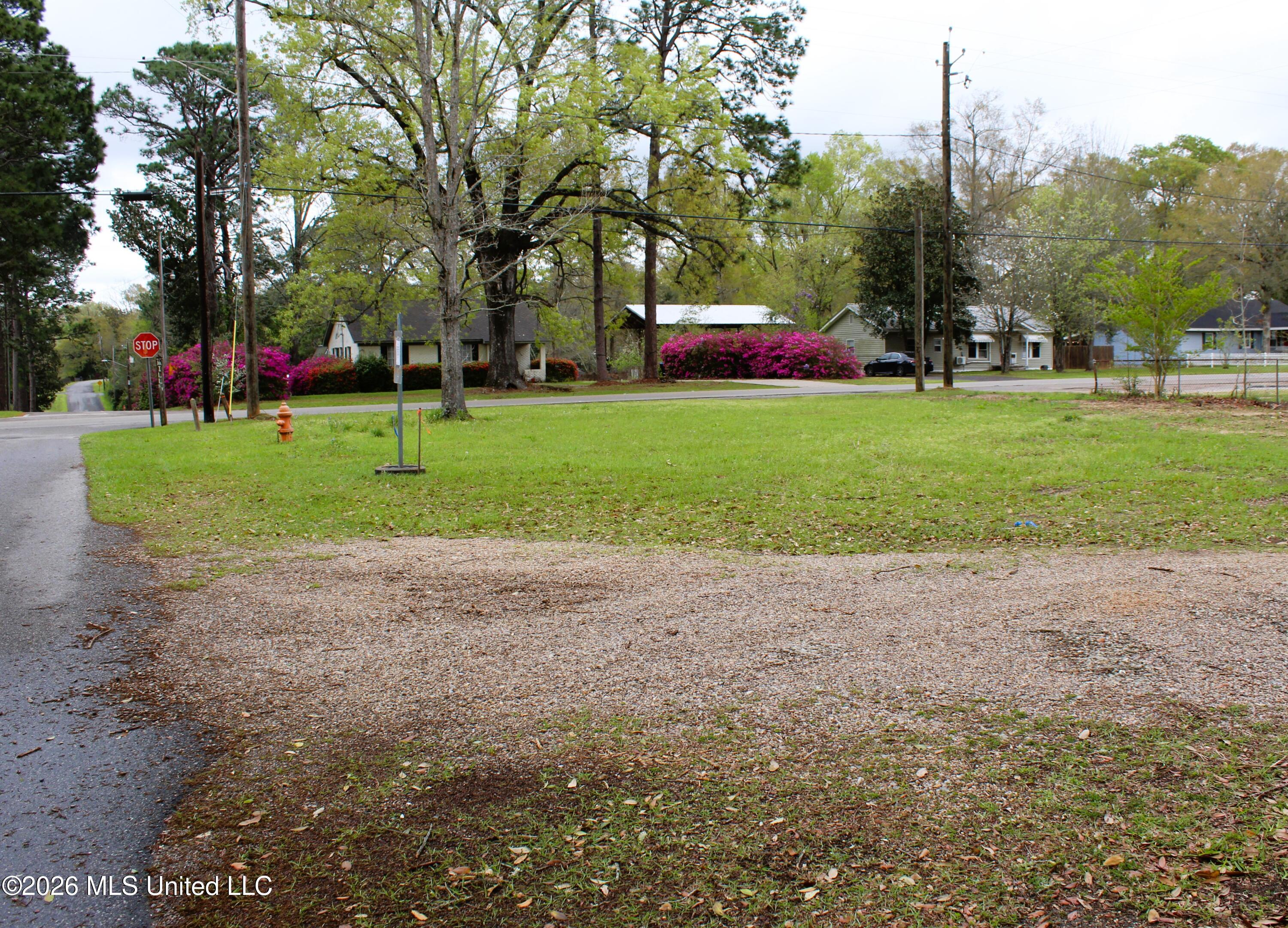 22-acres Mill Street Lucedale, MS 39452 - Photo 1 of 7 IMG_4018