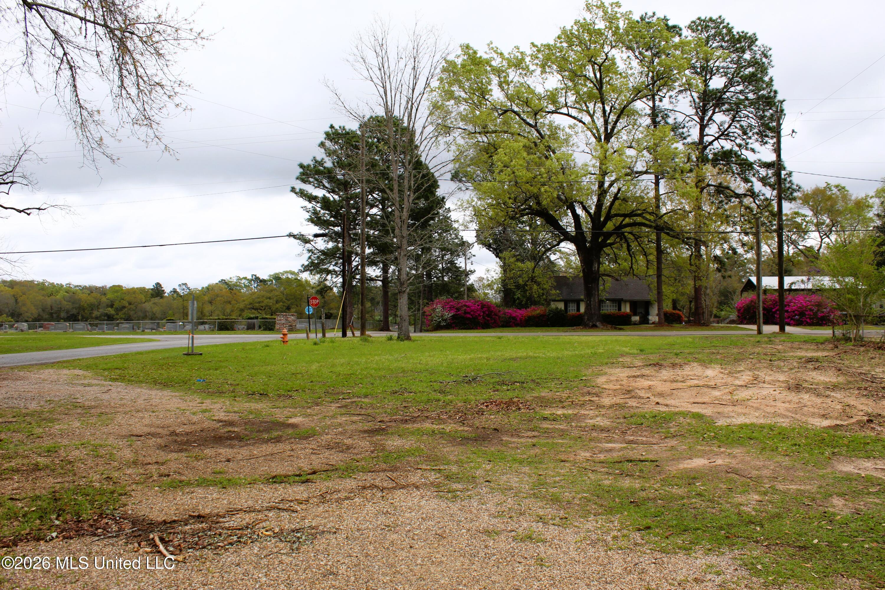 22-acres Mill Street Lucedale, MS 39452 - Photo 2 of 7 IMG_4019