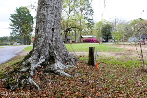 $59,000 | 22-acres Mill Street, Lucedale, MS 39452