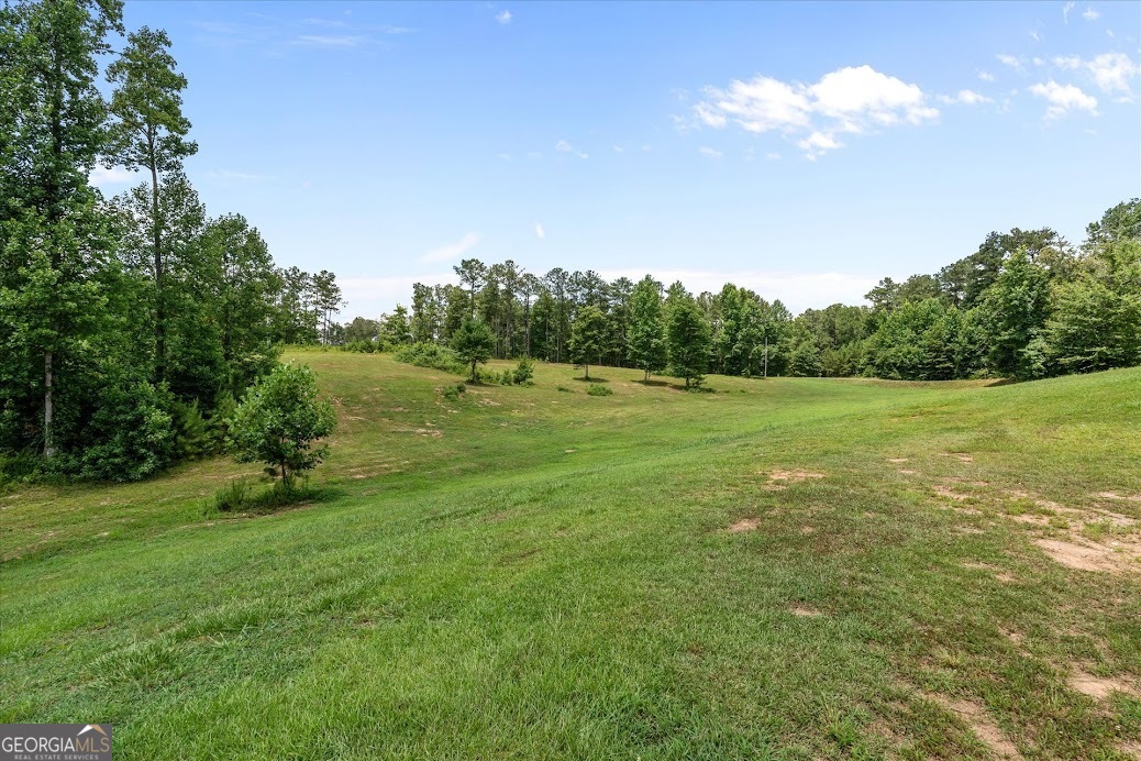 160 Shoemake Road Carrollton, GA 30116 - Photo 51 of 53