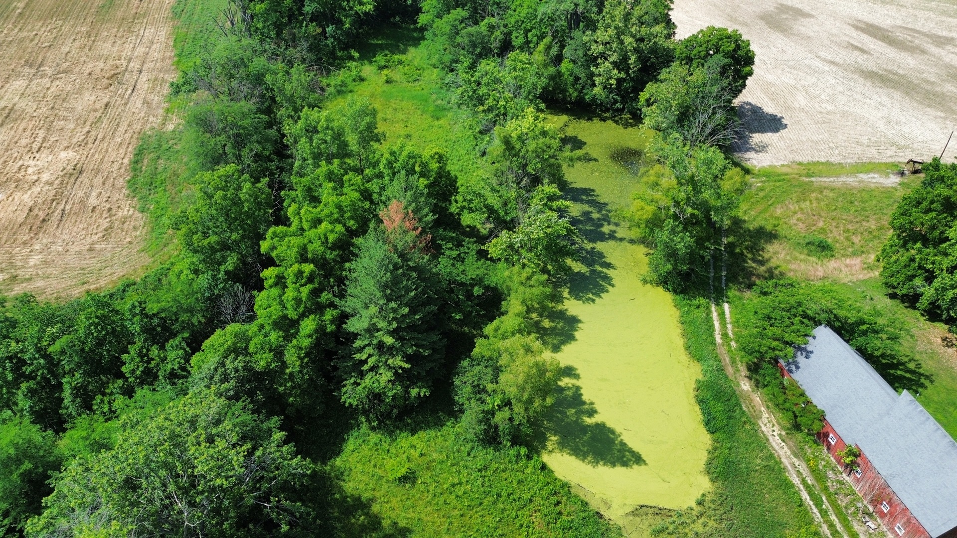 27712 West 17th Street Road Centralia, IL 62801 - Photo 41 of 50