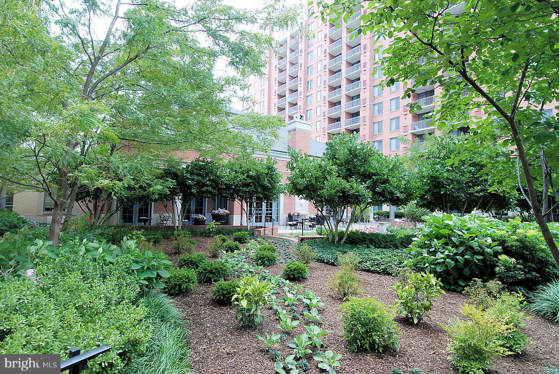 11710 Old Georgetown Road, Unit 508 Rockville, MD 20852 - Photo 30 of 45