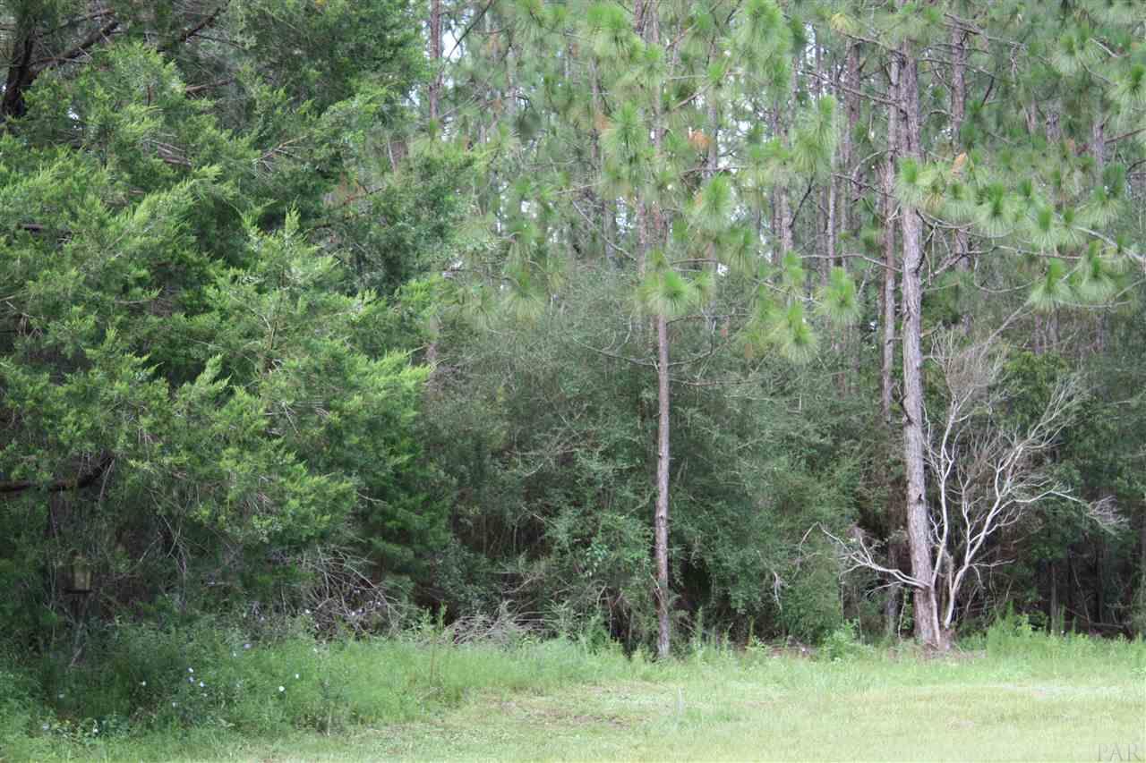 6399 Ray Cotton Road Baker, FL 32531 - Photo 22 of 26 Gallery Image 22
