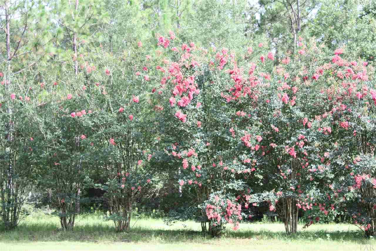 6399 Ray Cotton Road Baker, FL 32531 - Photo 25 of 26 Gallery Image 25