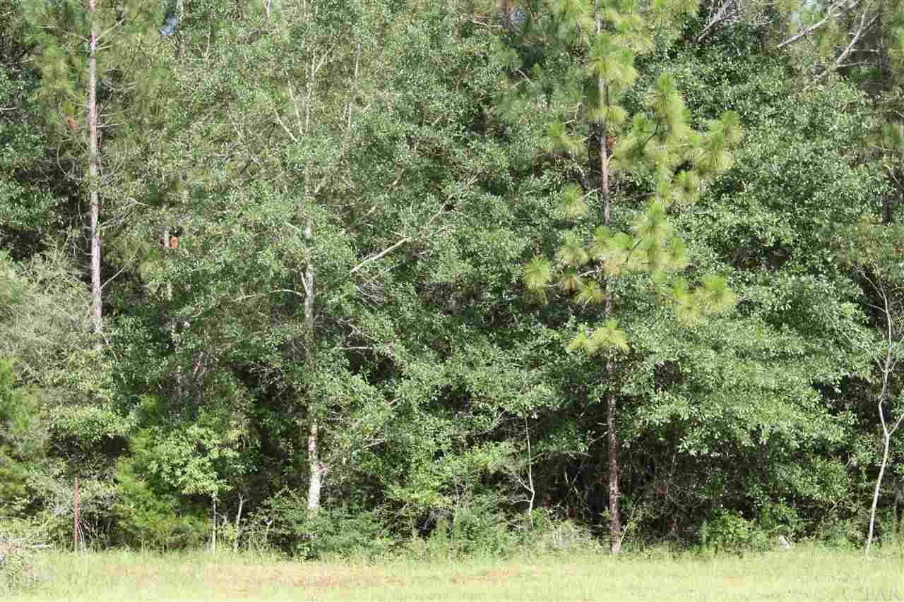 6399 Ray Cotton Road Baker, FL 32531 - Photo 26 of 26 Gallery Image 26