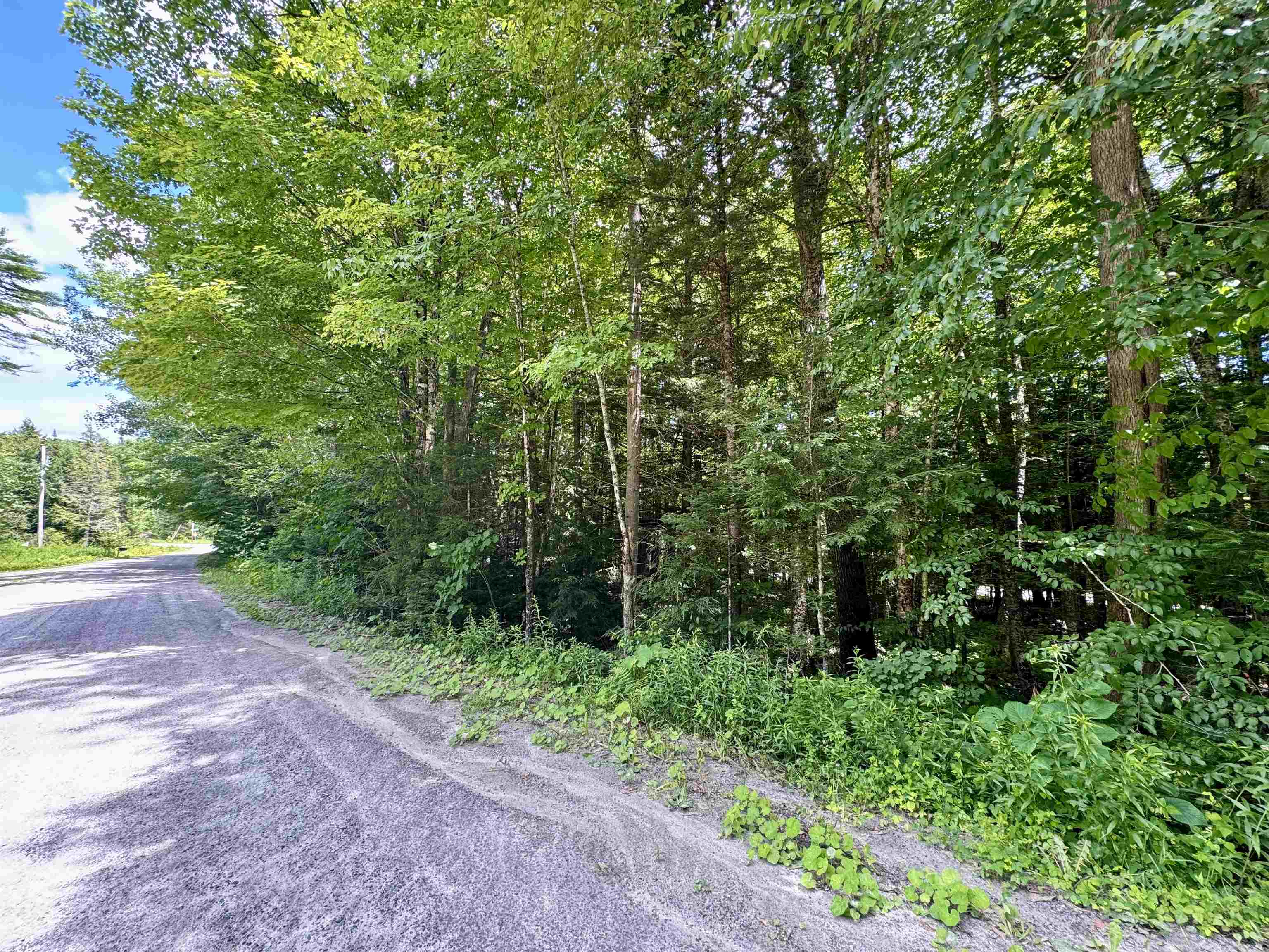 0 Tyler Farm Road Bradford, VT 05033 - Photo 11 of 12