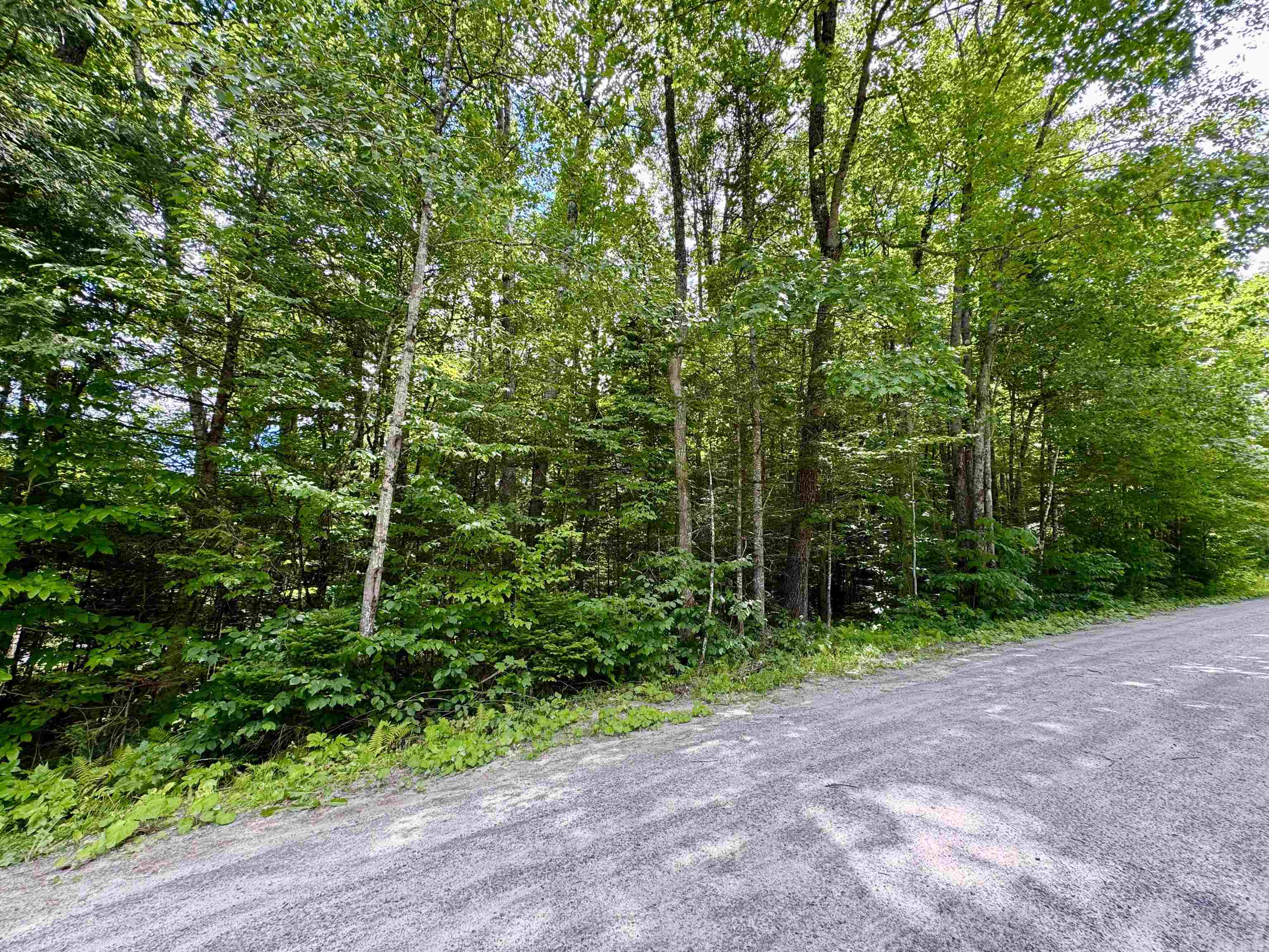 0 Tyler Farm Road Bradford, VT 05033 - Photo 12 of 12