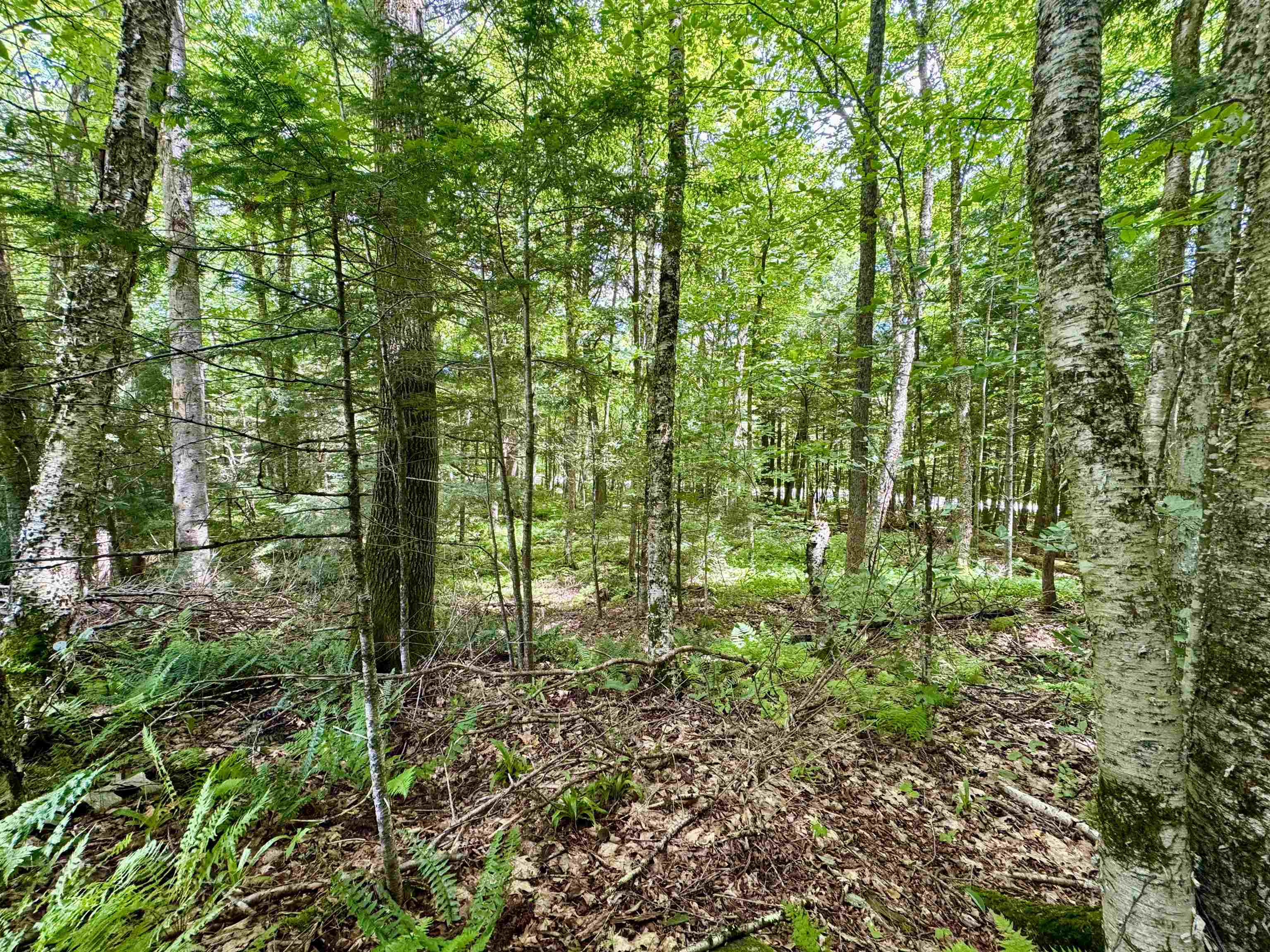 0 Tyler Farm Road Bradford, VT 05033 - Photo 2 of 12