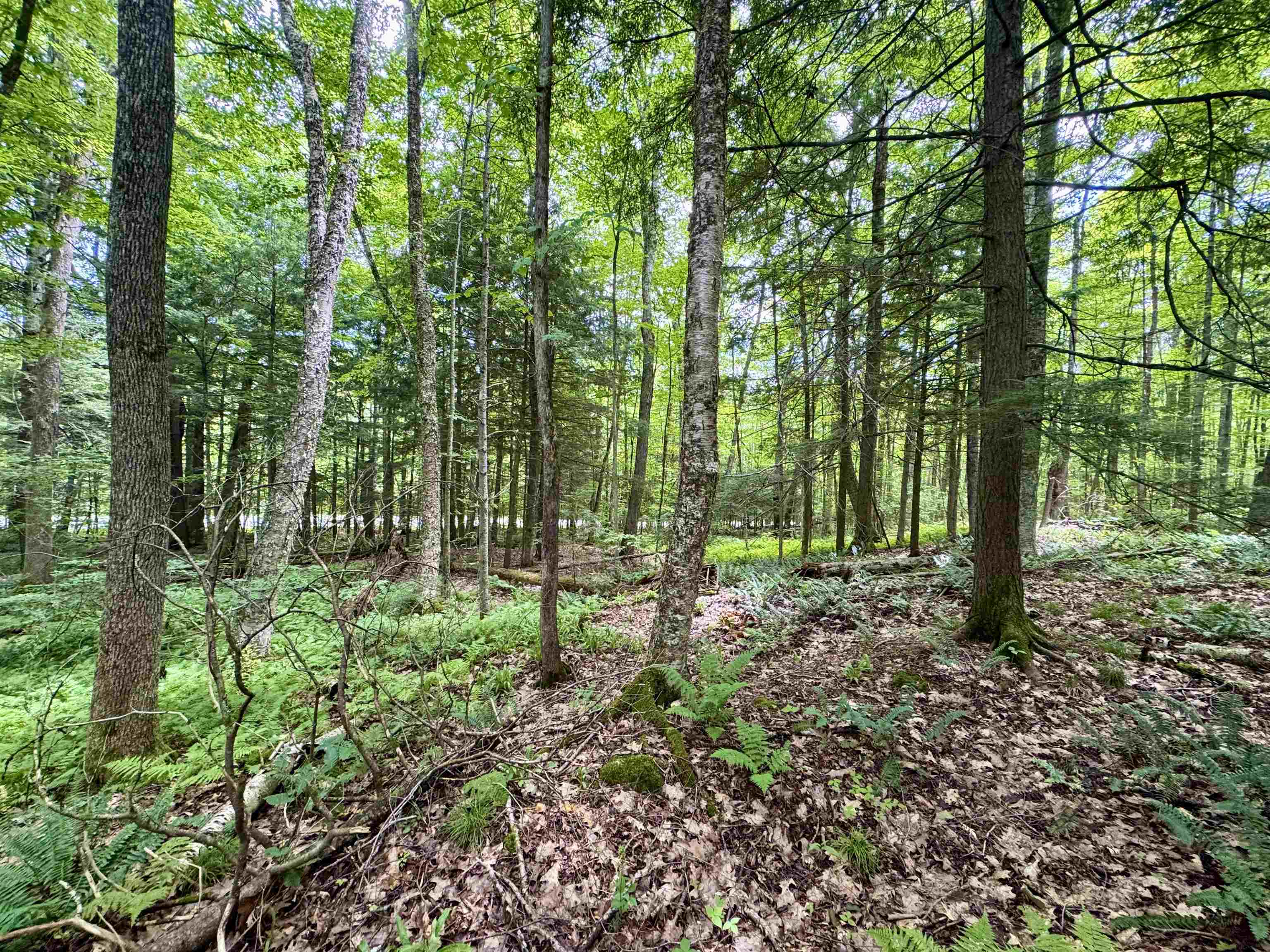 0 Tyler Farm Road Bradford, VT 05033 - Photo 3 of 12