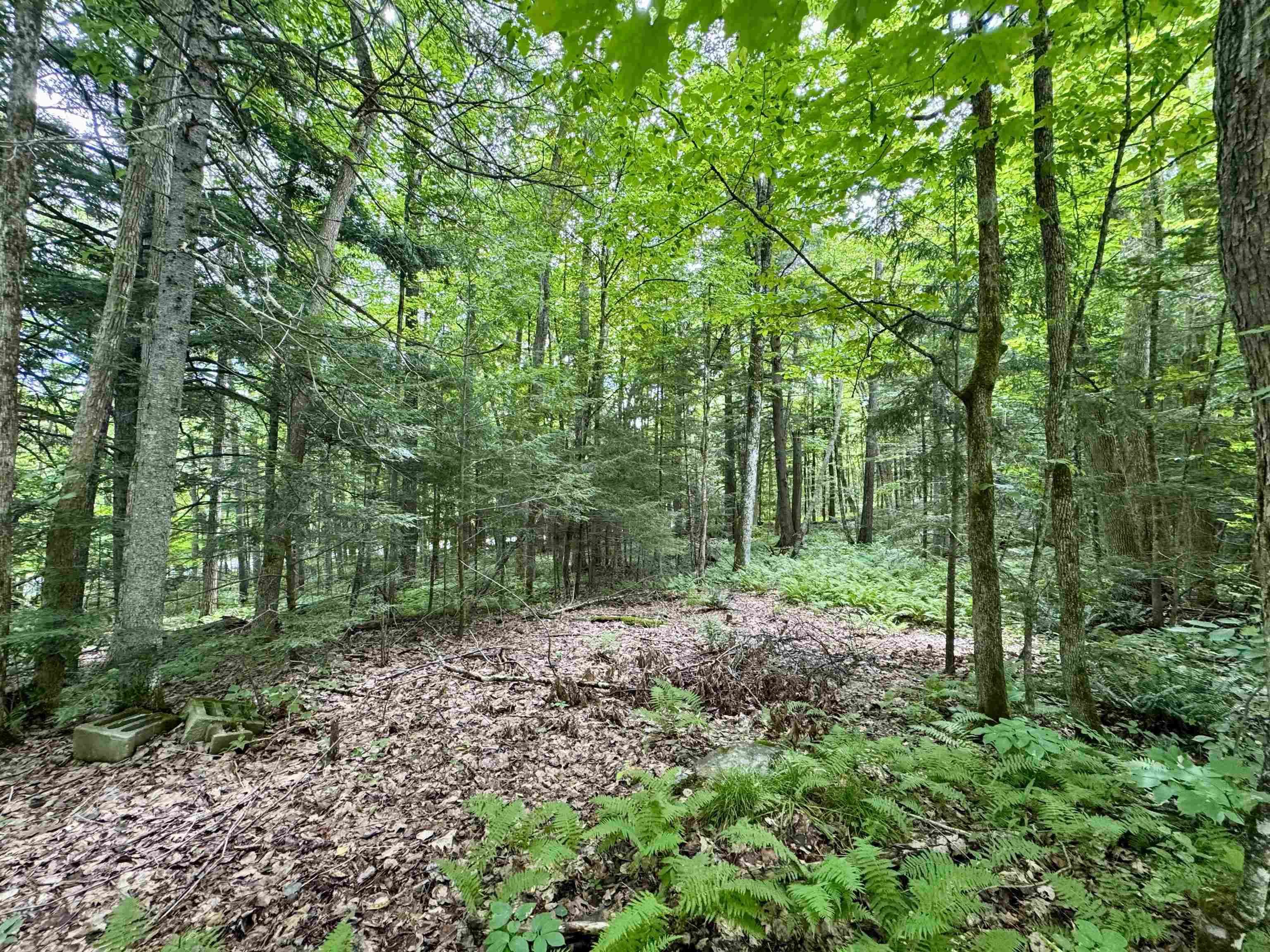 0 Tyler Farm Road Bradford, VT 05033 - Photo 4 of 12