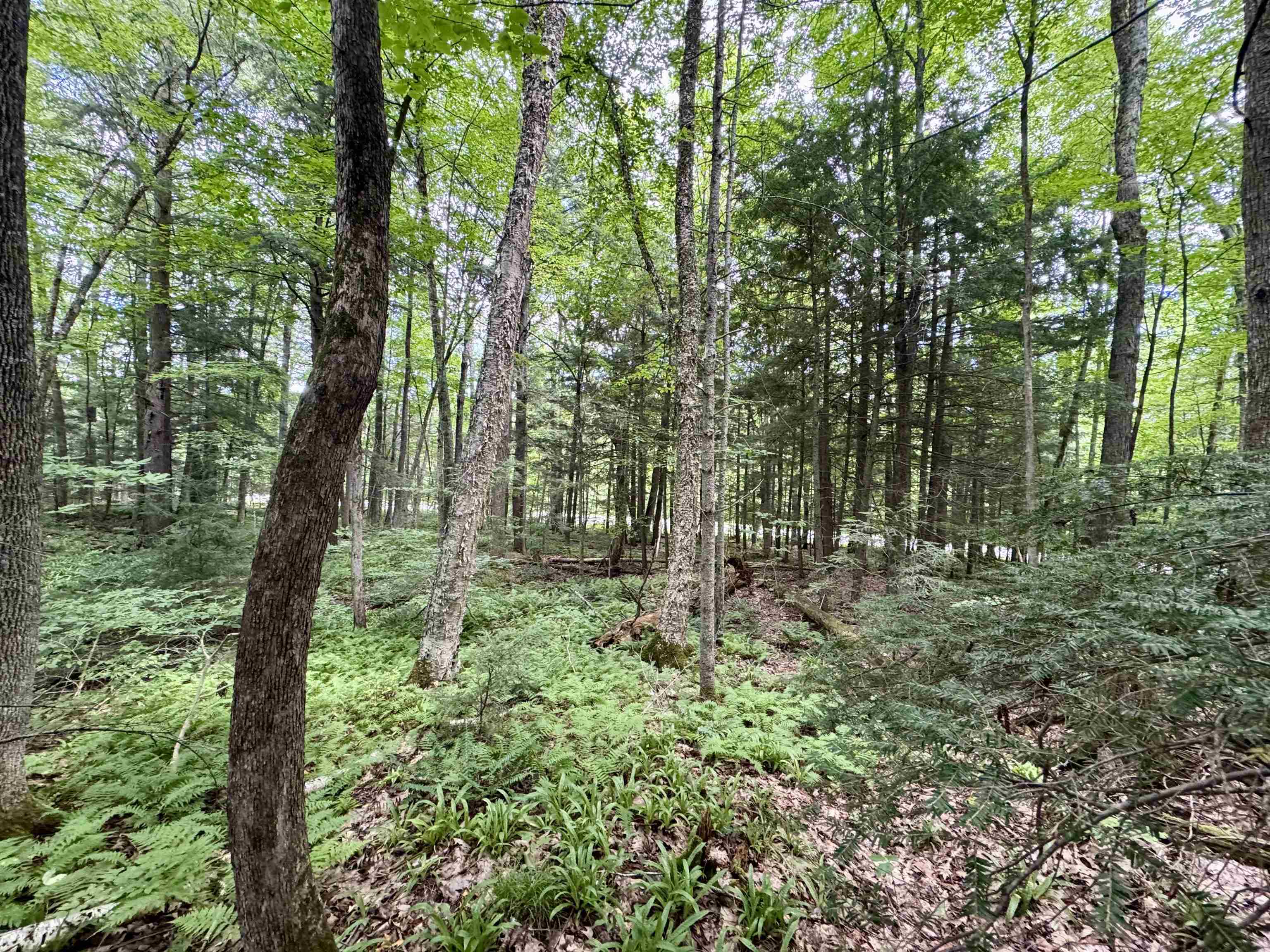 0 Tyler Farm Road Bradford, VT 05033 - Photo 5 of 12