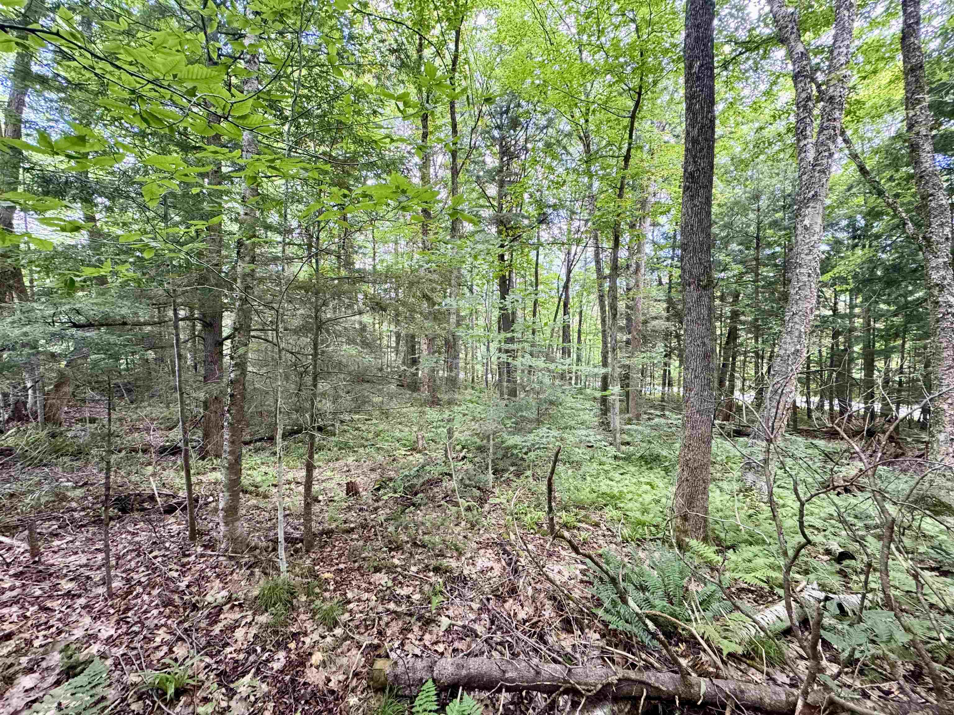 0 Tyler Farm Road Bradford, VT 05033 - Photo 6 of 12