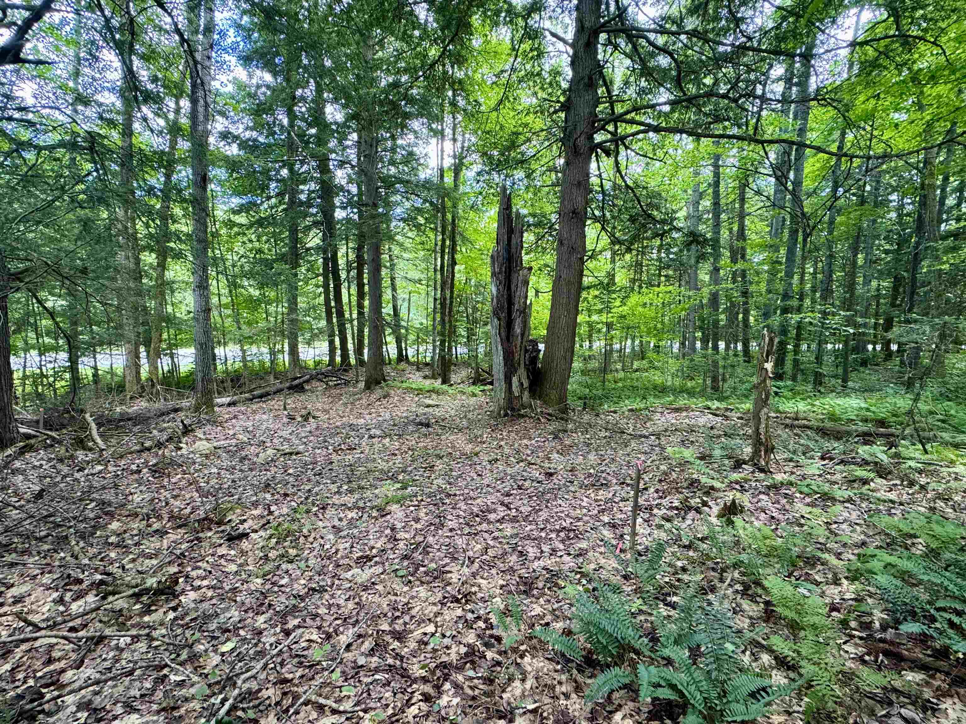 0 Tyler Farm Road Bradford, VT 05033 - Photo 7 of 12