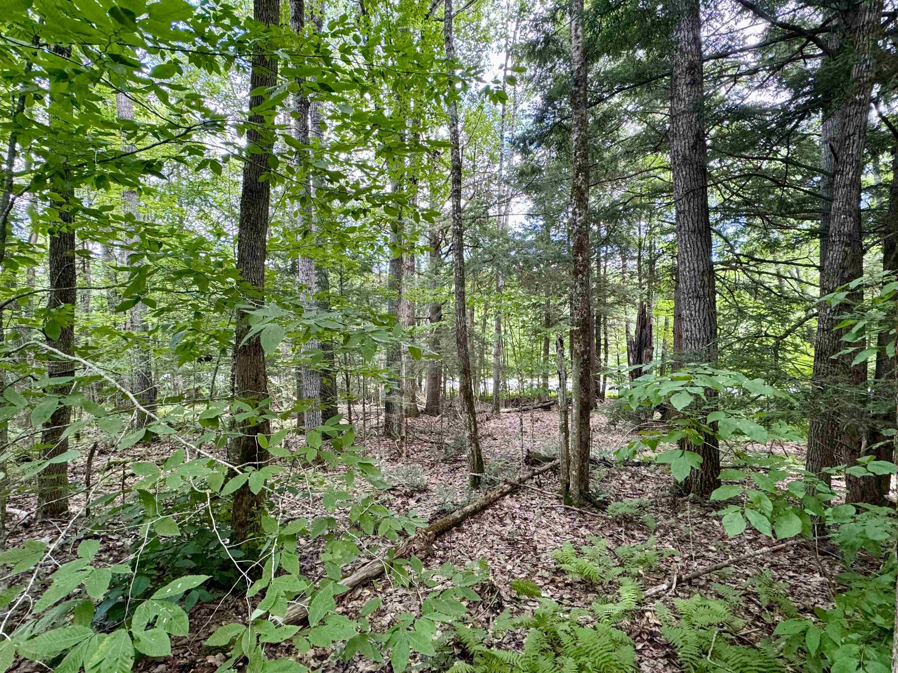 0 Tyler Farm Road Bradford, VT 05033 - Photo 8 of 12