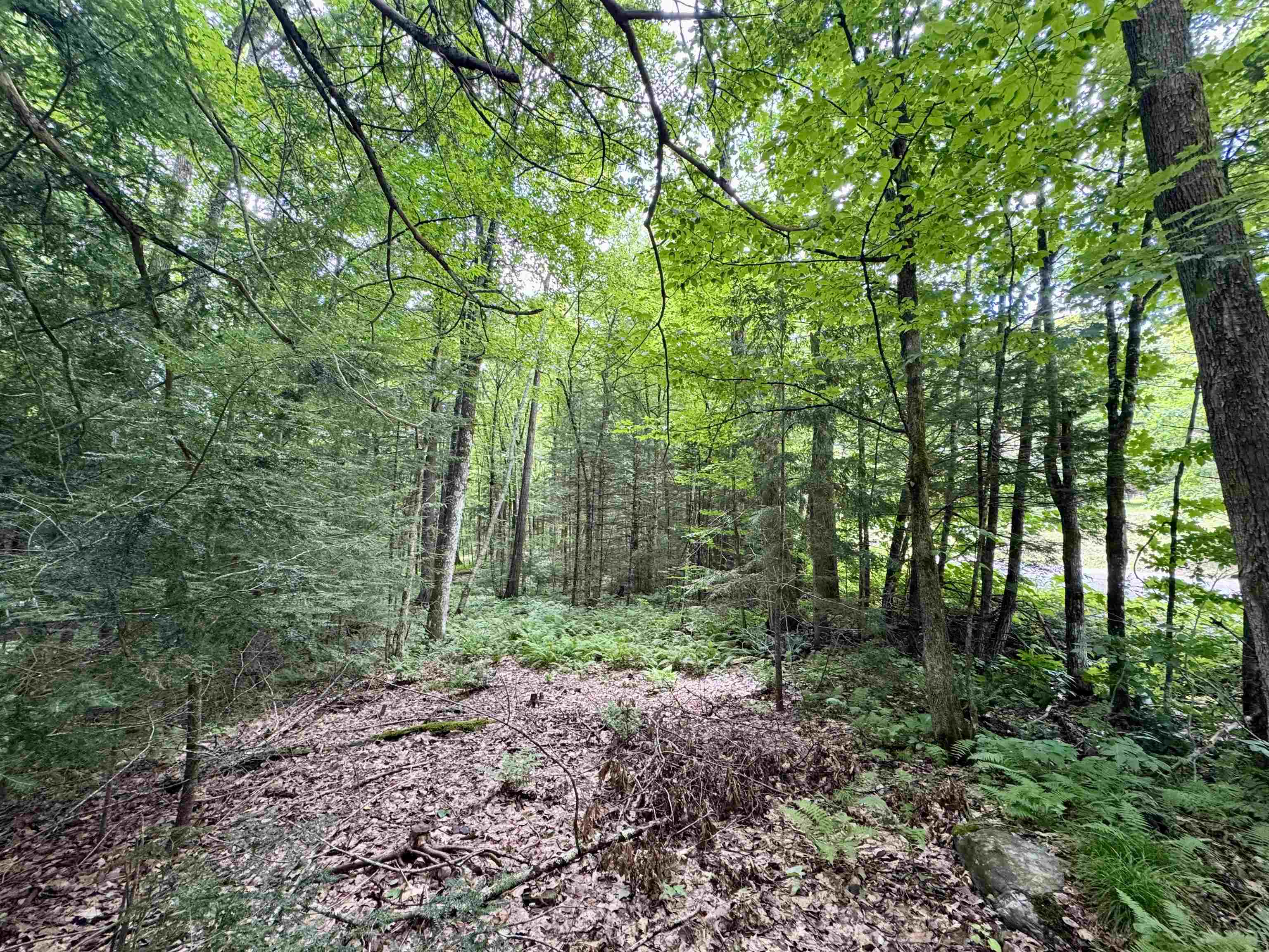 0 Tyler Farm Road Bradford, VT 05033 - Photo 10 of 12