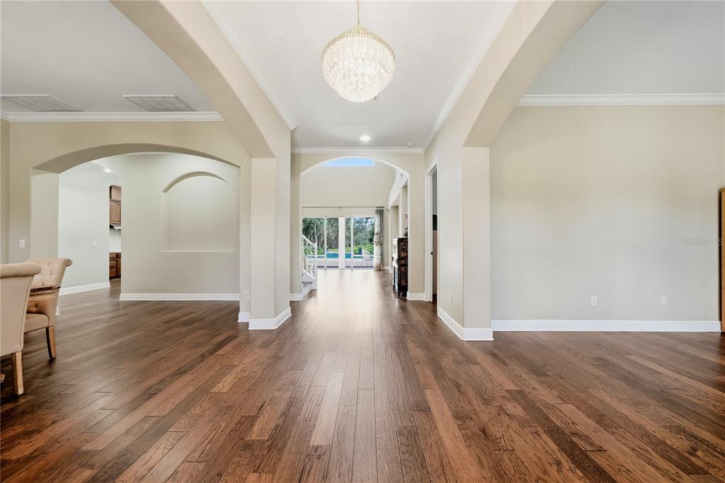 9244 Rhea Drive Odessa, FL 33556 - Photo 3 of 57