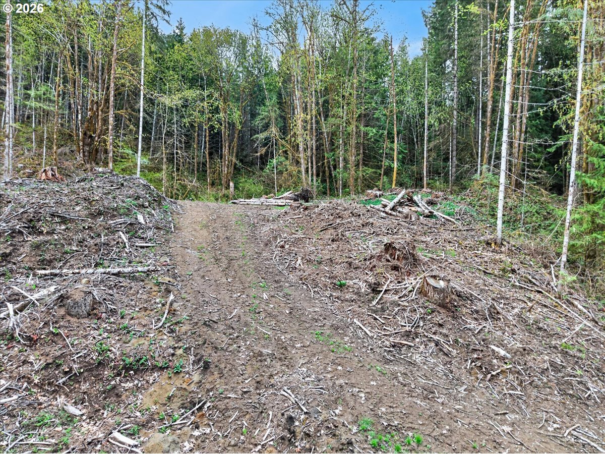 57936 Timber Road Vernonia, OR 97064 - Photo 41 of 48 Acreage