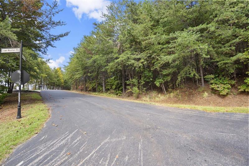 0 Crown Mountain Ridge Dahlonega, GA 30533 - Photo 12 of 30