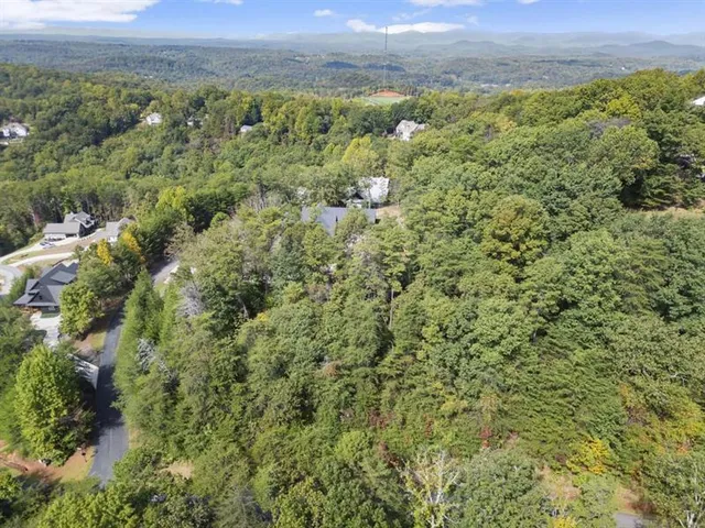 a view of a city with lush green forest