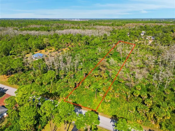 a view of a green field with lots of bushes