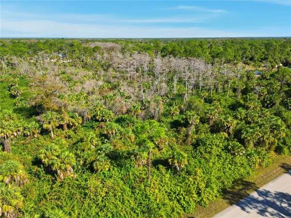 a view of a green field with lots of bushes