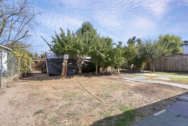 a view of a yard with plants and trees