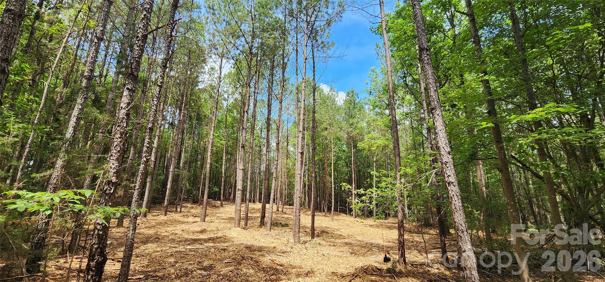 4870 Old Airport Road Winnsboro, SC 29180 - Photo 1 of 38