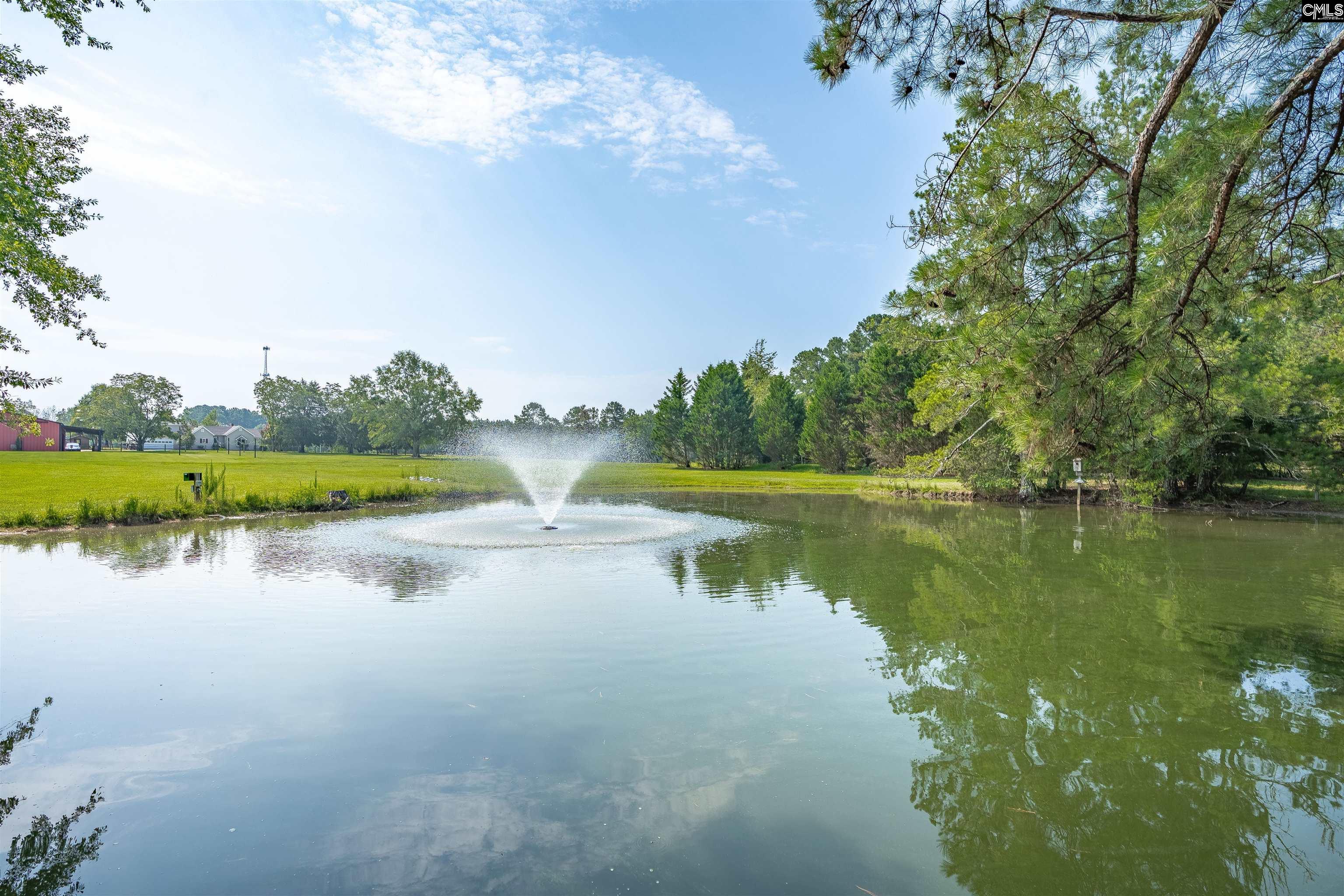 637 Belfast Road Newberry, SC 29108 - Photo 29 of 74