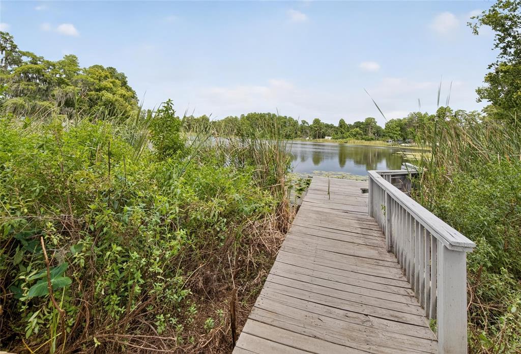 5028 School Road Land O' Lakes, FL 34638 - Photo 38 of 43