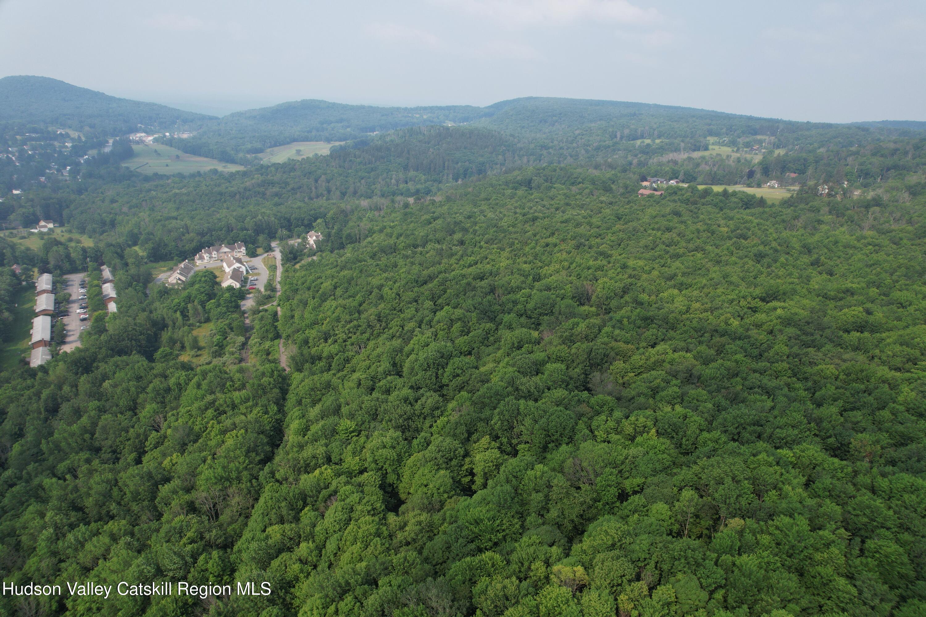 0 Timberwolf Road Liberty, NY 12754 - Photo 19 of 27 DJI_0188
