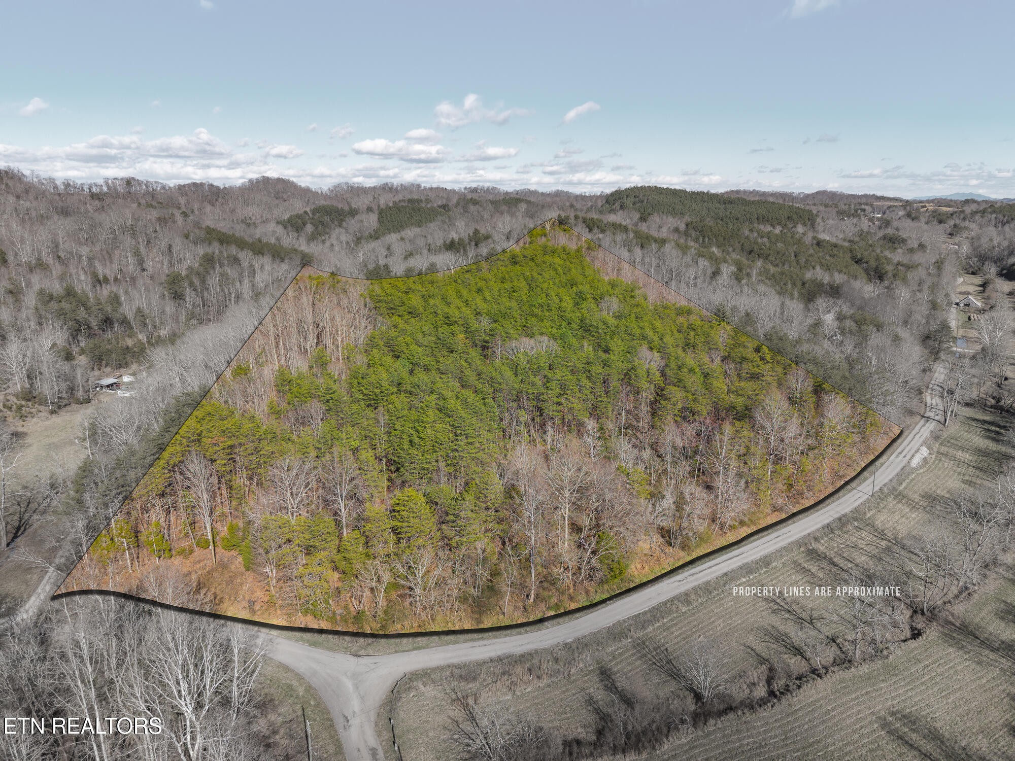 0 Happy Hollow Road Madisonville, TN 37354 - Photo 2 of 11
