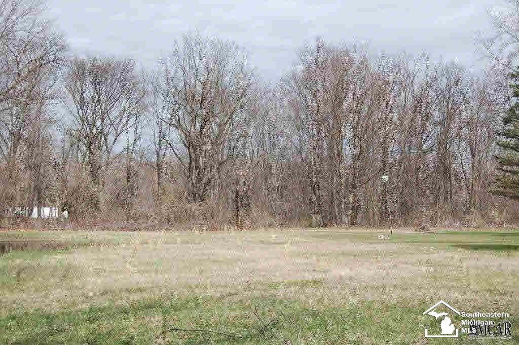 0 Pickard Road Temperance, MI 48182 - Photo 8 of 8