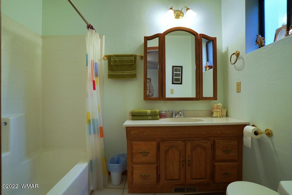1180 Timberline Drive Eagar, AZ 85925 - Photo 10 of 48 a bathroom with a sink and a mirror