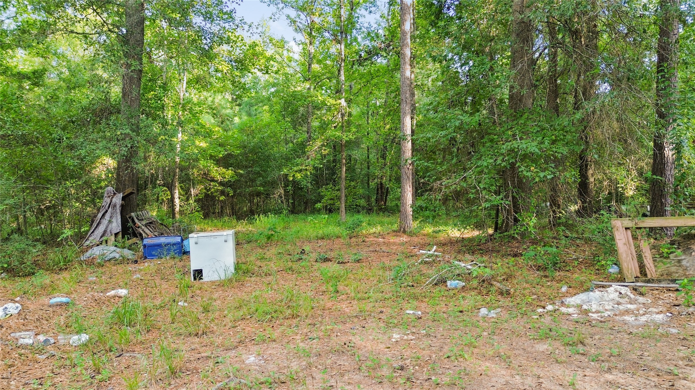 304 Hardy Bottom Road New Waverly, TX 77358 - Photo 9 of 17 Gallery Image 9