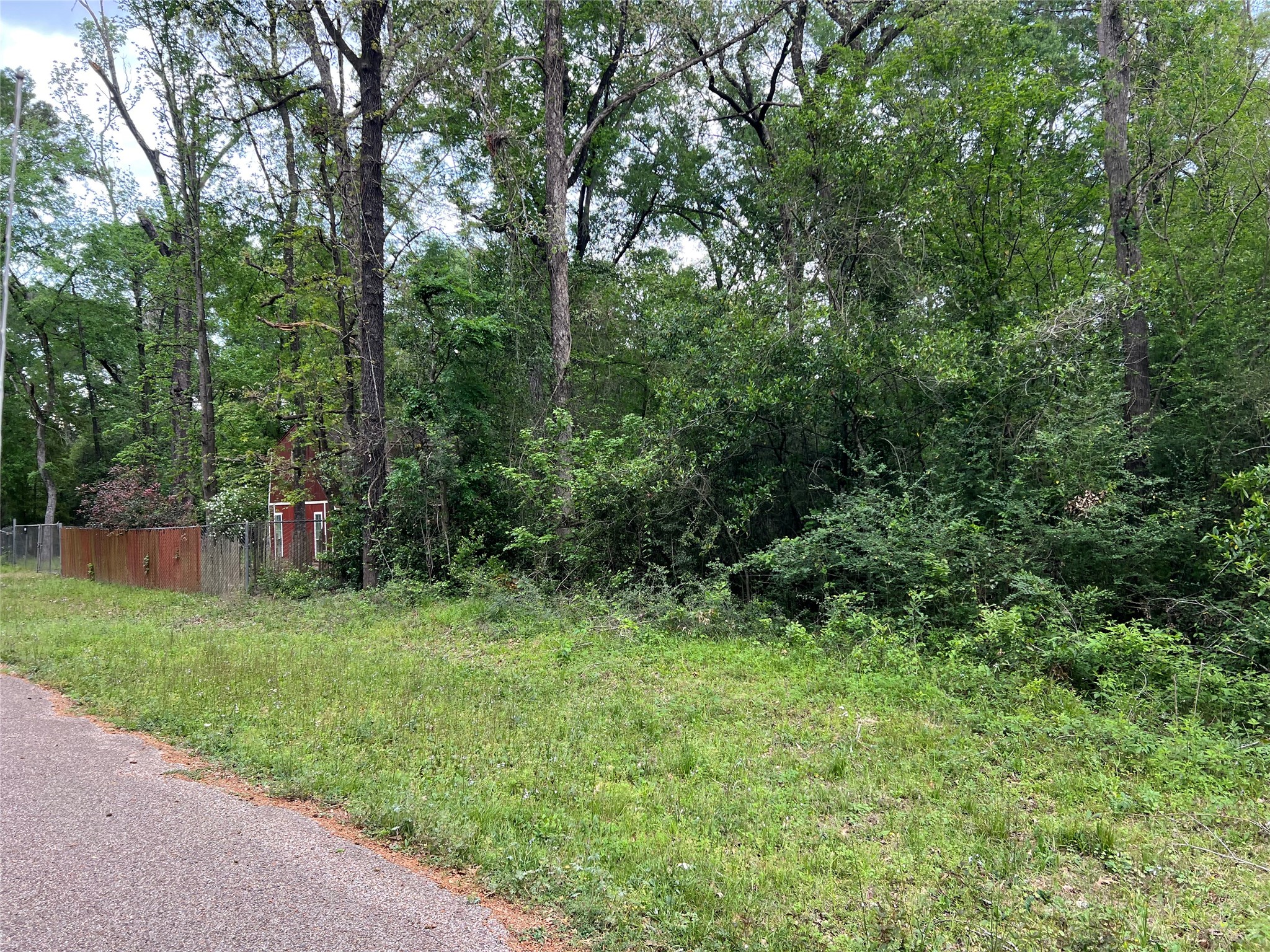 0 White Oak Conroe, TX 77303 - Photo 5 of 5 a view of a lush green forest